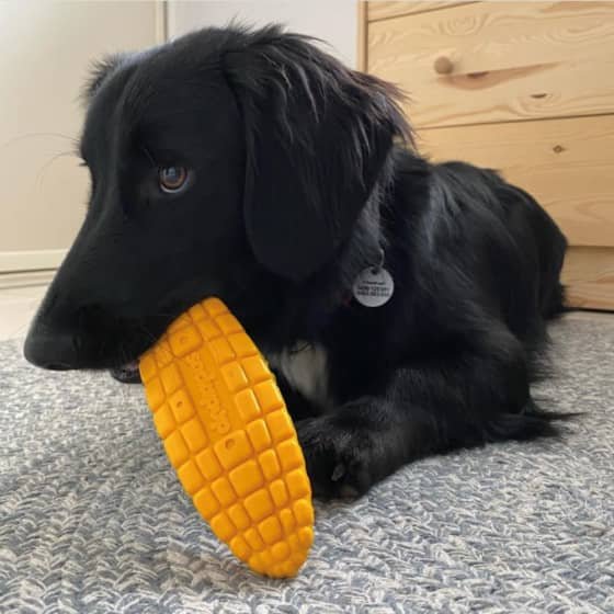 Mas'[pokijhgk Group Nylon Corn on the Cob Chew Toy