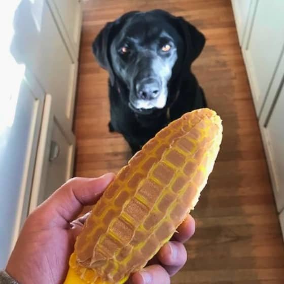 Mask Group[poiuytfd Nylon Corn on the Cob Chew Toy