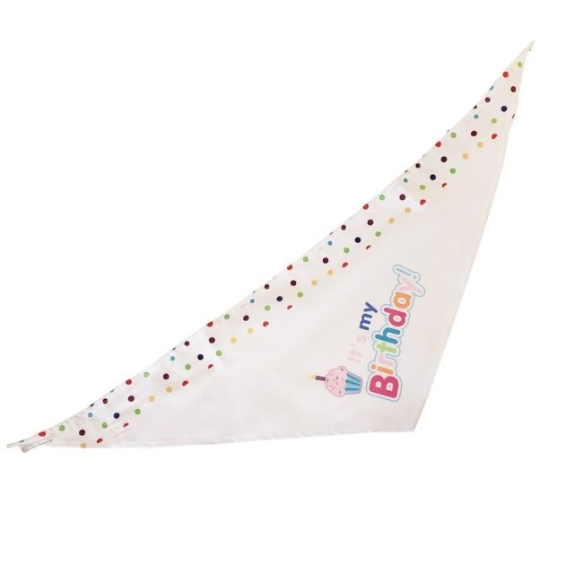 4-Piece Dog Birthday Kit - Image 5