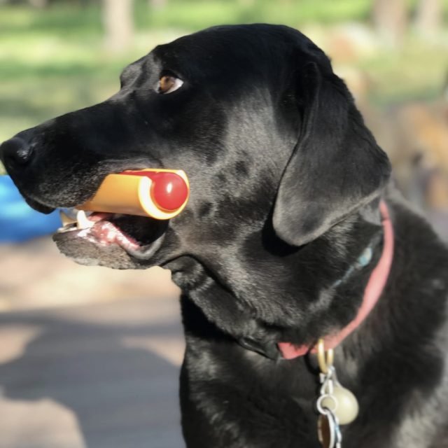 Nylon Hot Dog Chew Toy - Image 4