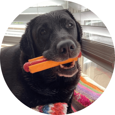 Mask Gro;lkup-min Nylon Hot Dog Chew Toy