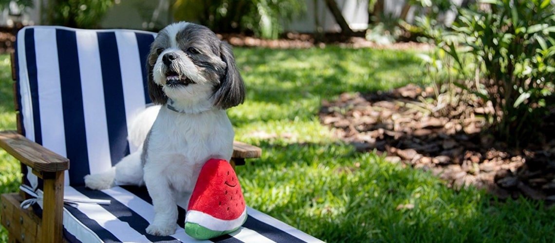 Mask Gghjroup-min Cheerful Smiley Watermelon Squeaker Plush Dog Toy