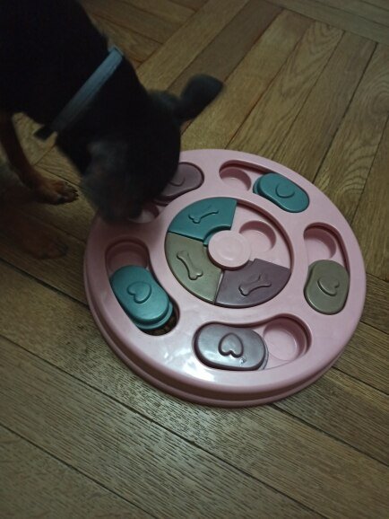 Dog Puzzle Toy