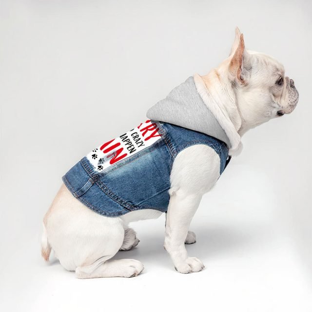 Acted Crazy Dog Denim Jacket - Funny Dog Denim Coat - Colorful Dog Clothing
