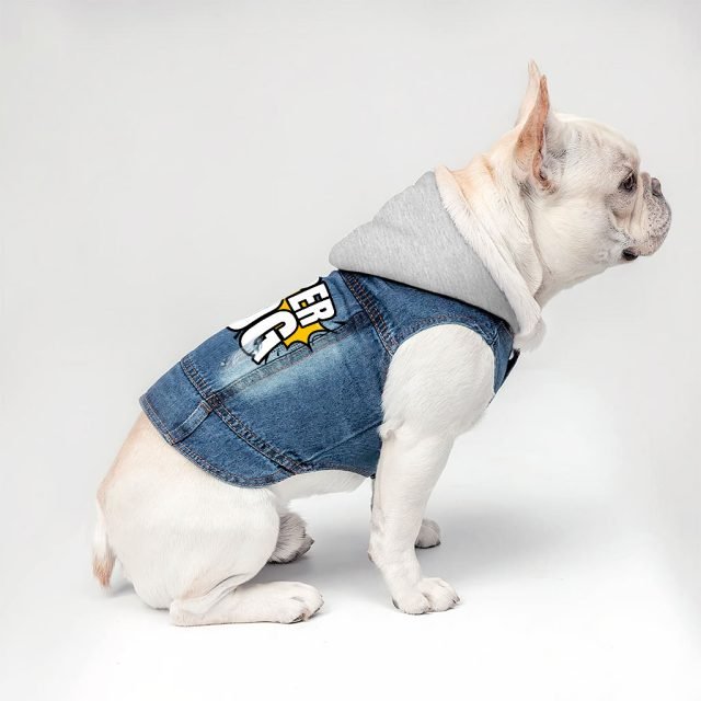 Super Dog Denim Jacket - Colorful Dog Denim Coat - Graphic Dog Clothing