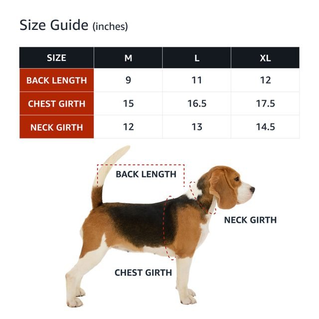 Not Friendly Don't Touch Dog Denim Jacket - Quote Dog Denim Coat - Graphic Dog Clothing