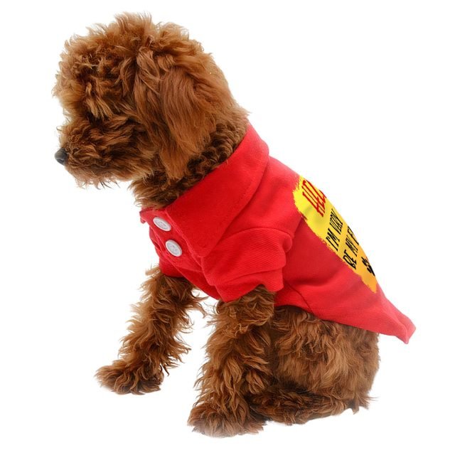 Friend Dog Polo Shirt - Colorful Dog T-Shirt - Printed Dog Clothing - Image 5