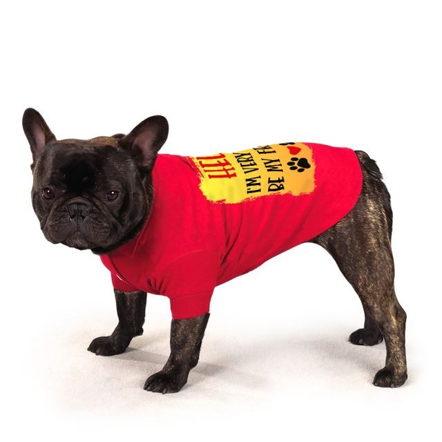 Friend Dog Polo Shirt - Colorful Dog T-Shirt - Printed Dog Clothing - Image 6
