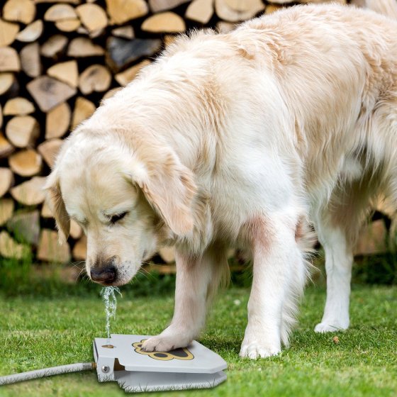 2 Automatic Outdoor Dog Water Fountain