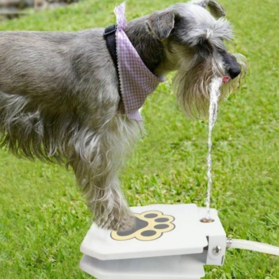 Mask Group Automatic Outdoor Dog Water Fountain